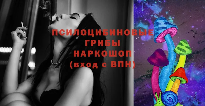 Псилоцибиновые грибы Magic Shrooms  Тулун 